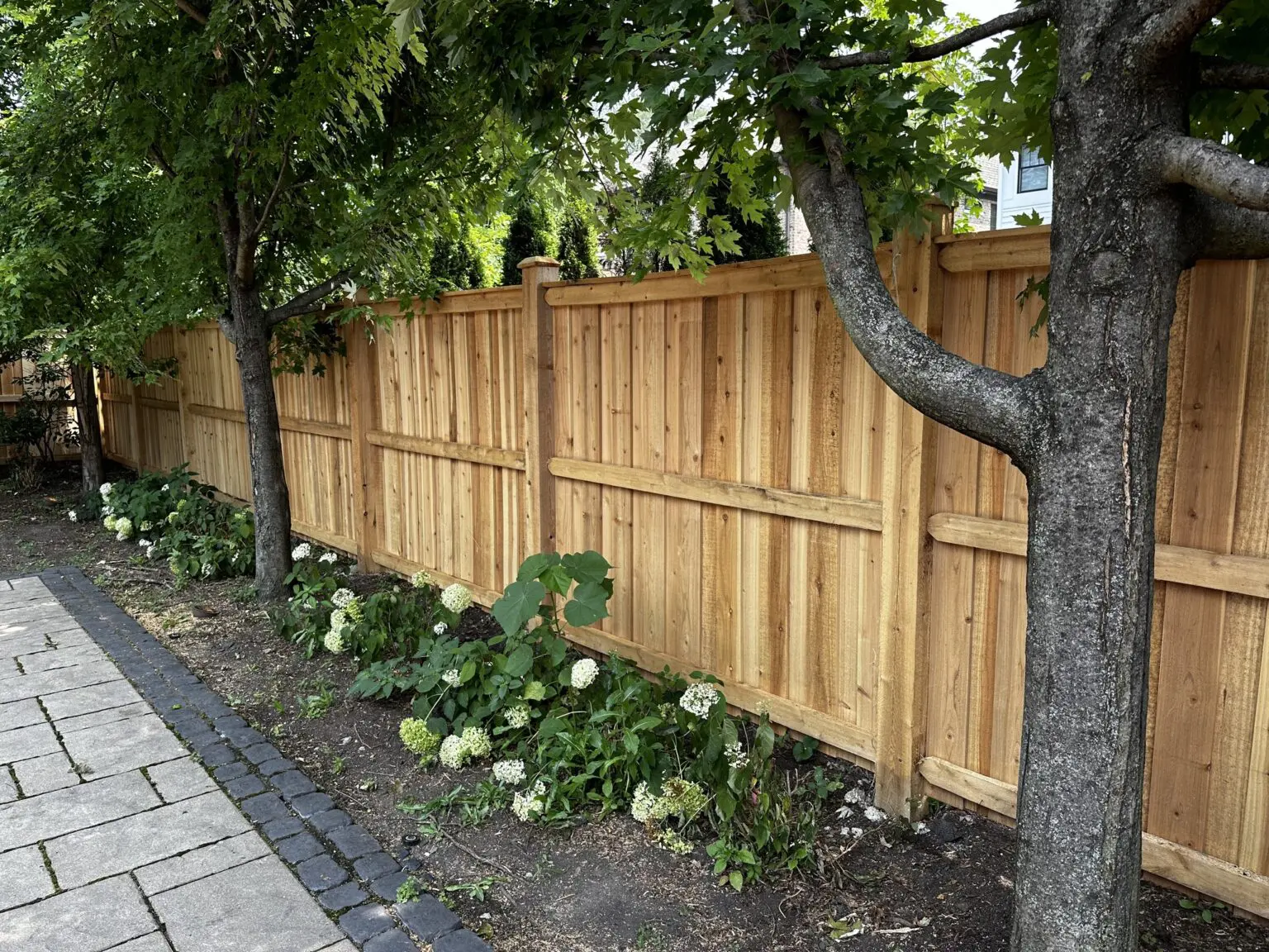 Wood Fence