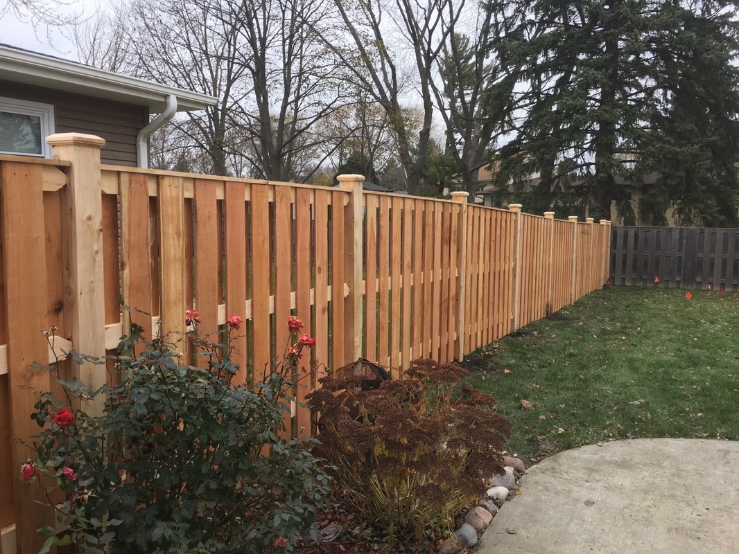 Western Red Cedar Fence